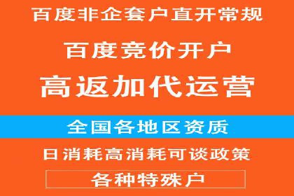 SEM专员实战案例解析